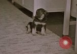 Immagine di Adolf Hitler Berghof Berchtesgaden Germania, 1940, secondo 19 filmato di repertorio 65675047979