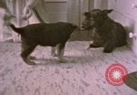Immagine di Adolf Hitler Berghof Berchtesgaden Germania, 1940, secondo 20 filmato di repertorio 65675047979
