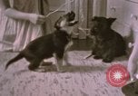 Immagine di Adolf Hitler Berghof Berchtesgaden Germania, 1940, secondo 22 filmato di repertorio 65675047979
