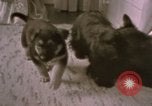 Immagine di Adolf Hitler Berghof Berchtesgaden Germania, 1940, secondo 24 filmato di repertorio 65675047979