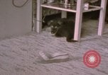 Immagine di Adolf Hitler Berghof Berchtesgaden Germania, 1940, secondo 25 filmato di repertorio 65675047979