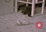Immagine di Adolf Hitler Berghof Berchtesgaden Germania, 1940, secondo 26 filmato di repertorio 65675047979