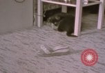 Immagine di Adolf Hitler Berghof Berchtesgaden Germania, 1940, secondo 27 filmato di repertorio 65675047979