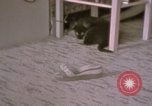 Immagine di Adolf Hitler Berghof Berchtesgaden Germania, 1940, secondo 28 filmato di repertorio 65675047979