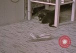 Immagine di Adolf Hitler Berghof Berchtesgaden Germania, 1940, secondo 29 filmato di repertorio 65675047979