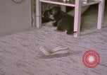 Immagine di Adolf Hitler Berghof Berchtesgaden Germania, 1940, secondo 30 filmato di repertorio 65675047979