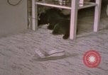Immagine di Adolf Hitler Berghof Berchtesgaden Germania, 1940, secondo 31 filmato di repertorio 65675047979
