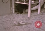 Immagine di Adolf Hitler Berghof Berchtesgaden Germania, 1940, secondo 33 filmato di repertorio 65675047979