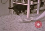 Immagine di Adolf Hitler Berghof Berchtesgaden Germania, 1940, secondo 34 filmato di repertorio 65675047979