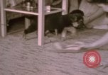 Immagine di Adolf Hitler Berghof Berchtesgaden Germania, 1940, secondo 35 filmato di repertorio 65675047979