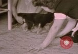 Immagine di Adolf Hitler Berghof Berchtesgaden Germania, 1940, secondo 36 filmato di repertorio 65675047979