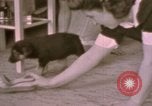 Immagine di Adolf Hitler Berghof Berchtesgaden Germania, 1940, secondo 38 filmato di repertorio 65675047979