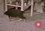 Immagine di Adolf Hitler Berghof Berchtesgaden Germania, 1940, secondo 39 filmato di repertorio 65675047979