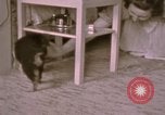 Immagine di Adolf Hitler Berghof Berchtesgaden Germania, 1940, secondo 40 filmato di repertorio 65675047979