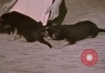 Immagine di Adolf Hitler Berghof Berchtesgaden Germania, 1940, secondo 41 filmato di repertorio 65675047979
