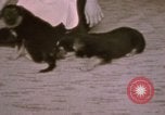 Immagine di Adolf Hitler Berghof Berchtesgaden Germania, 1940, secondo 42 filmato di repertorio 65675047979