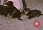 Immagine di Adolf Hitler Berghof Berchtesgaden Germania, 1940, secondo 45 filmato di repertorio 65675047979