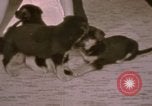 Immagine di Adolf Hitler Berghof Berchtesgaden Germania, 1940, secondo 46 filmato di repertorio 65675047979