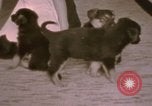Immagine di Adolf Hitler Berghof Berchtesgaden Germania, 1940, secondo 47 filmato di repertorio 65675047979