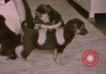 Immagine di Adolf Hitler Berghof Berchtesgaden Germania, 1940, secondo 49 filmato di repertorio 65675047979