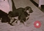 Immagine di Adolf Hitler Berghof Berchtesgaden Germania, 1940, secondo 50 filmato di repertorio 65675047979