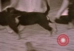Immagine di Adolf Hitler Berghof Berchtesgaden Germania, 1940, secondo 54 filmato di repertorio 65675047979