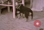 Immagine di Adolf Hitler Berghof Berchtesgaden Germania, 1940, secondo 55 filmato di repertorio 65675047979