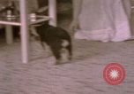 Immagine di Adolf Hitler Berghof Berchtesgaden Germania, 1940, secondo 57 filmato di repertorio 65675047979