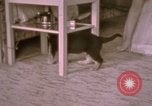Immagine di Adolf Hitler Berghof Berchtesgaden Germania, 1940, secondo 59 filmato di repertorio 65675047979