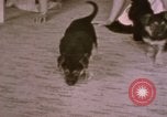 Immagine di Adolf Hitler Berghof Berchtesgaden Germania, 1940, secondo 62 filmato di repertorio 65675047979