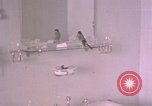 Standbild Adolf Hitlers Berghof Berchtesgaden Deutschland, 1940, aus Sekunde 3 historischem Filmmaterial Videoclip 65675047980