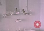 Standbild Adolf Hitlers Berghof Berchtesgaden Deutschland, 1940, aus Sekunde 4 historischem Filmmaterial Videoclip 65675047980