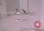 Standbild Adolf Hitlers Berghof Berchtesgaden Deutschland, 1940, aus Sekunde 5 historischem Filmmaterial Videoclip 65675047980