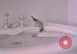 Standbild Adolf Hitlers Berghof Berchtesgaden Deutschland, 1940, aus Sekunde 56 historischem Filmmaterial Videoclip 65675047980