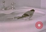 Standbild Adolf Hitlers Berghof Berchtesgaden Deutschland, 1940, aus Sekunde 62 historischem Filmmaterial Videoclip 65675047980
