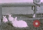 Image of children at Berghof Berchtesgaden Germany, 1940, second 3 stock footage video 65675047989