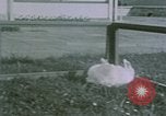 Image of children at Berghof Berchtesgaden Germany, 1940, second 18 stock footage video 65675047989