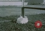 Image of children at Berghof Berchtesgaden Germany, 1940, second 19 stock footage video 65675047989