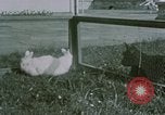 Image of children at Berghof Berchtesgaden Germany, 1940, second 21 stock footage video 65675047989