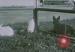 Image of children at Berghof Berchtesgaden Germany, 1940, second 22 stock footage video 65675047989