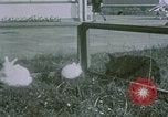 Image of children at Berghof Berchtesgaden Germany, 1940, second 24 stock footage video 65675047989