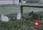 Image of children at Berghof Berchtesgaden Germany, 1940, second 25 stock footage video 65675047989