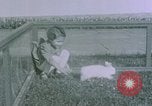 Image of children at Berghof Berchtesgaden Germany, 1940, second 33 stock footage video 65675047989