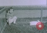 Image of children at Berghof Berchtesgaden Germany, 1940, second 34 stock footage video 65675047989