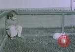 Image of children at Berghof Berchtesgaden Germany, 1940, second 35 stock footage video 65675047989