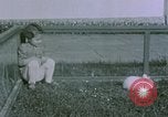 Image of children at Berghof Berchtesgaden Germany, 1940, second 36 stock footage video 65675047989