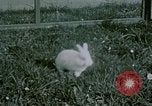 Image of children at Berghof Berchtesgaden Germany, 1940, second 57 stock footage video 65675047989