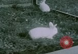 Image of children at Berghof Berchtesgaden Germany, 1940, second 58 stock footage video 65675047989
