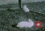 Image of children at Berghof Berchtesgaden Germany, 1940, second 59 stock footage video 65675047989