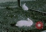 Image of children at Berghof Berchtesgaden Germany, 1940, second 60 stock footage video 65675047989